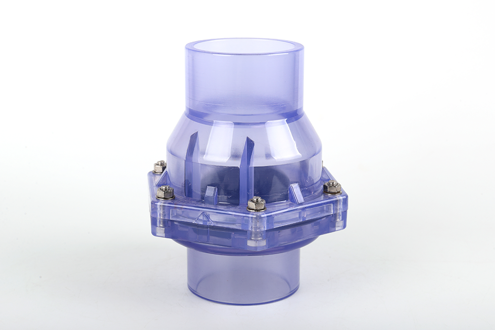 昌黎透明翻板式止回阀